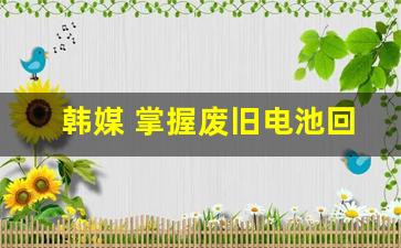 韩媒 掌握废旧电池回收技术(废旧电池回收视频)_https://www.huakunhengjia.com_金融资讯_第1张